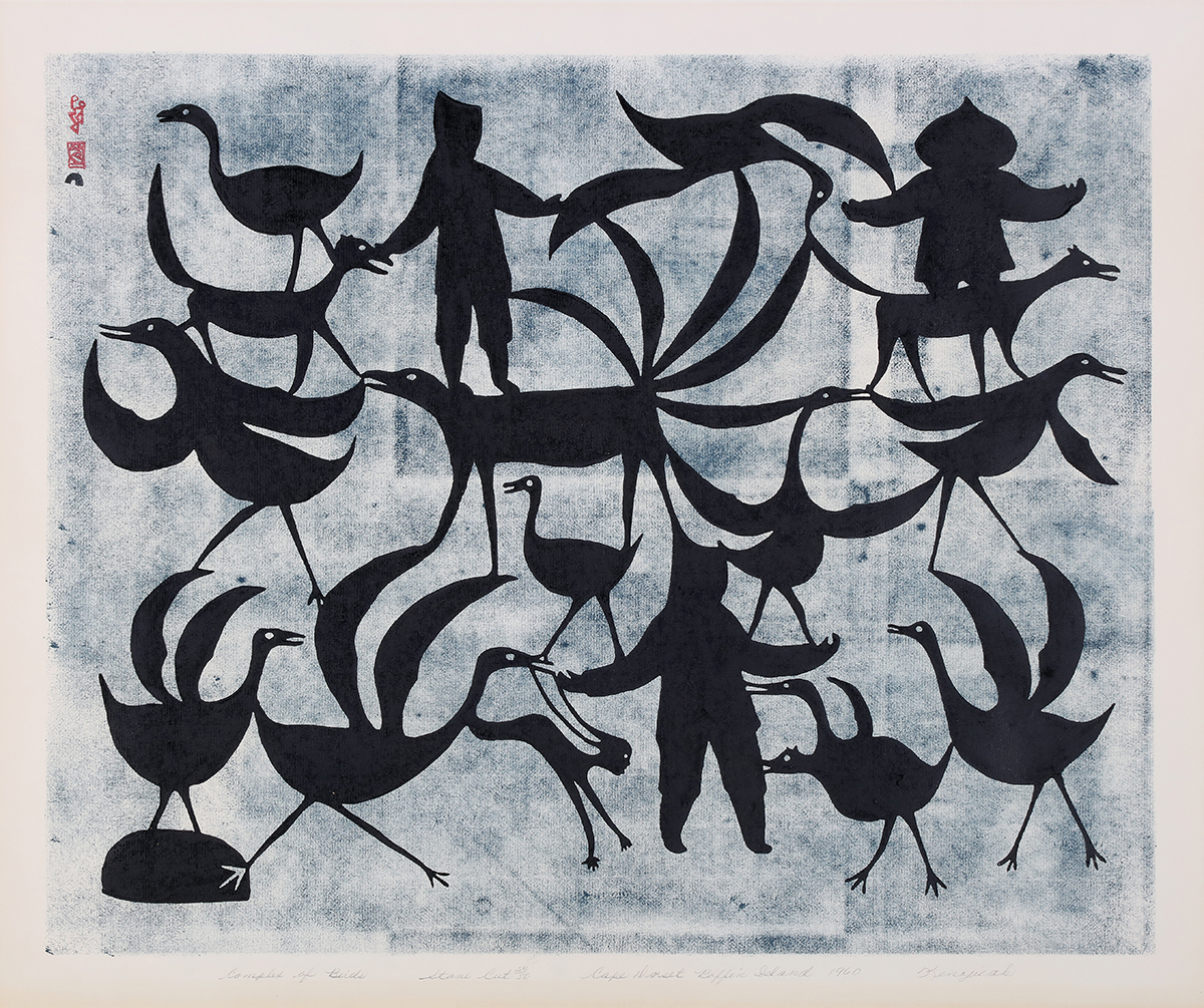 Complex of Birds by Kenojuak Ashevak, 45.1 x 55.9 cm. Photo: Bernard Clark. Source: City of Kingston Civic Collection. Complex of Birds