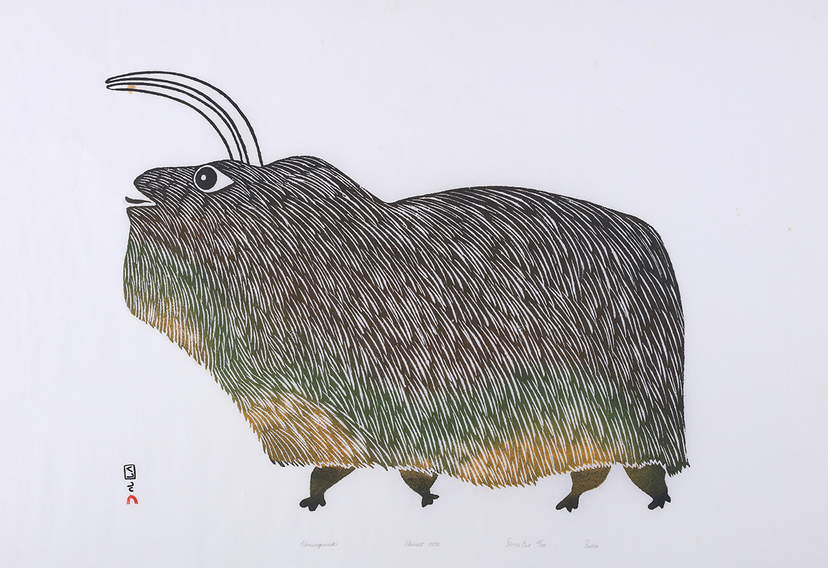 Umingmuk by Pudlo Pudlat, stonecut print, 59.7 x 84.5 cm. Photo: Bernard Clark. Source: City of Kingston Civic Collection. Umingmuk