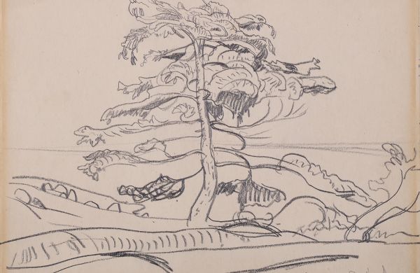 Page from a Sketchbook: Pine Island, Georgian Bay