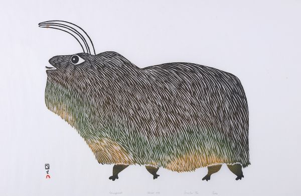 Umingmuk