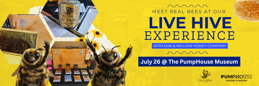 live hive experience